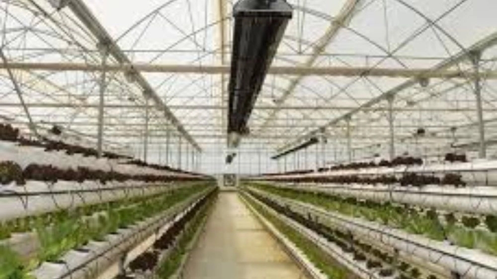 Construction of Unolit insulated greenhouse heater in Gulshan, Isfahan